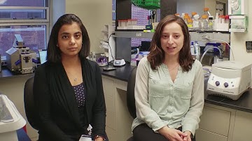 FCSC - OncopHore Nanotechnologies – Elevator Pitch