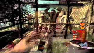 Black ops: Zombie Spasm