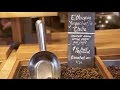 Coffee 101 | Different types of coffee beans: Flavors of different types coffee beans Mp3