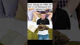 Двигать Не Нужно. #Мемы #Подборка #Мем #Тикток #Жиза #Memes #Юмор #Меллстрой