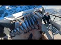SoCal Bonito Bite Wide Open! 1/2 Day AM Sportfishing from San Diego