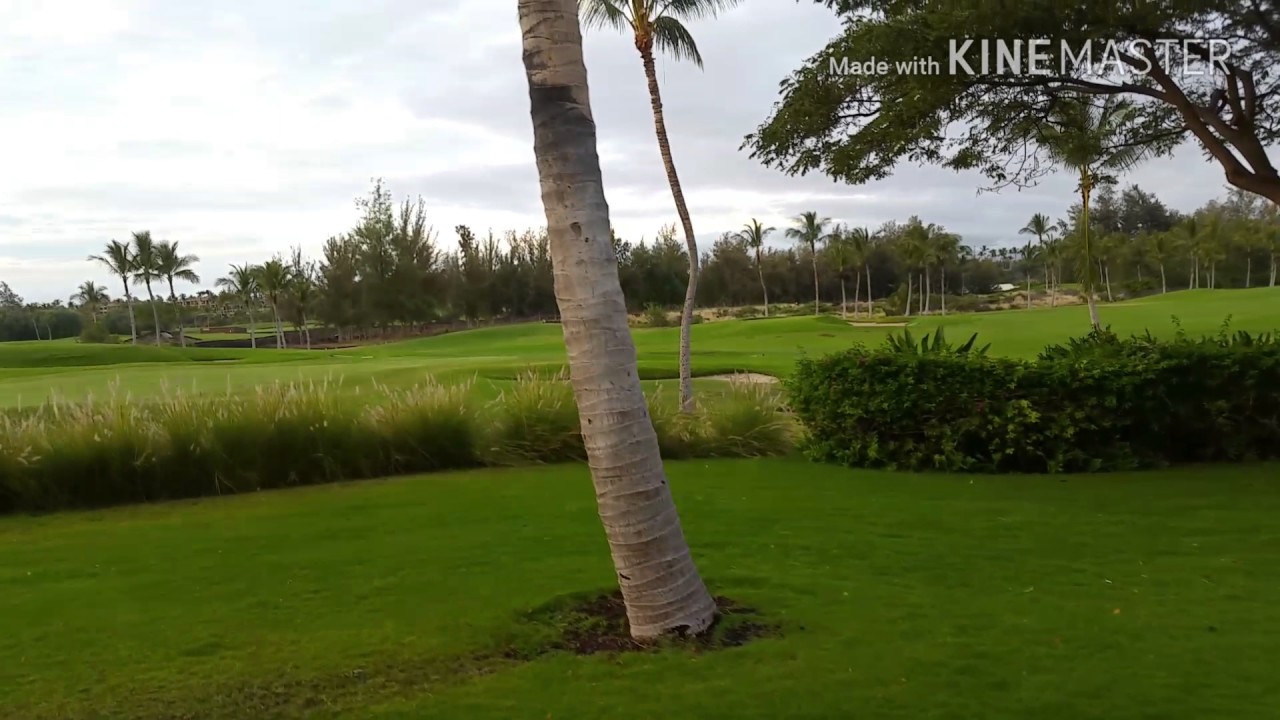 Дом в аренду на Гаваях. Большой Остров. Condo for rent in Hawaii, Big