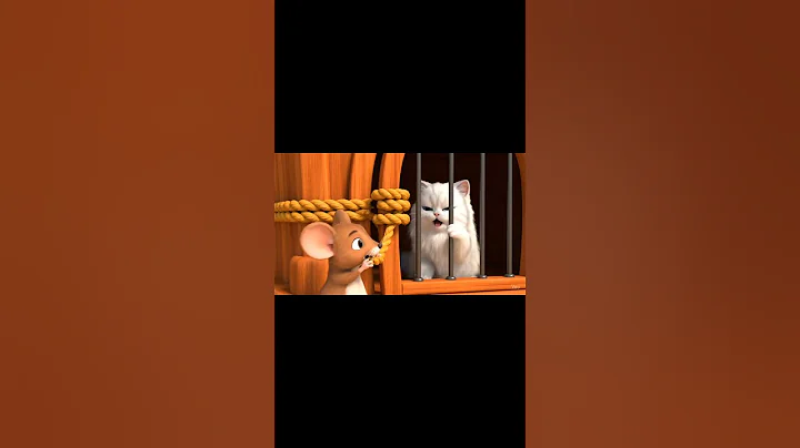 Video 10793671: angora cat cute, angora cat funny, cat mouse animals, best cat animal cute