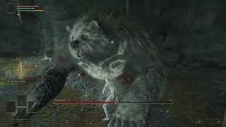 Runebear hitless - Pure Wretch RL1 - +0 Club