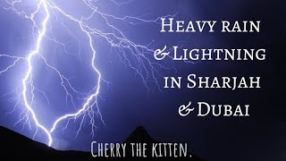 Heavy Rain & Lightning In Sharjah & Dubai 🌩️☔🌧️ 17 November 2023 by Cherry the kitten.  110 views 5 months ago 3 minutes, 19 seconds