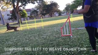 [RUSH] Weaves that WOW, Exercise 5-6 - June 5, 2017