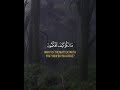 Then Will we treat the Muslims like the criminals? | Islam sobhi Quran Recitation 2021