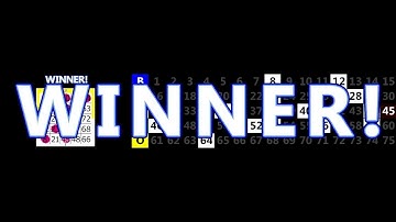 MaxFlash Video Flashboard System 1