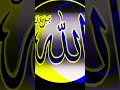 #tiktok #اكسبلور #دويتو #unfrez #duet #diamond #whowillbemylifepartnerta #trend #ring #القرآن_الكريم