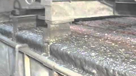 The Froth Flotation Process and its Bubbles
