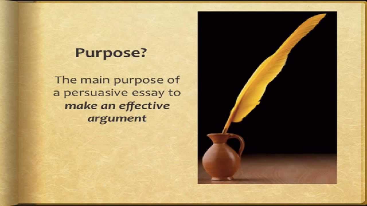 essay tutorial
