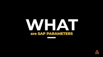 SAP User Parameters