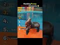 Ranking FUNNIEST Sea Lion Moments #shorts #funny