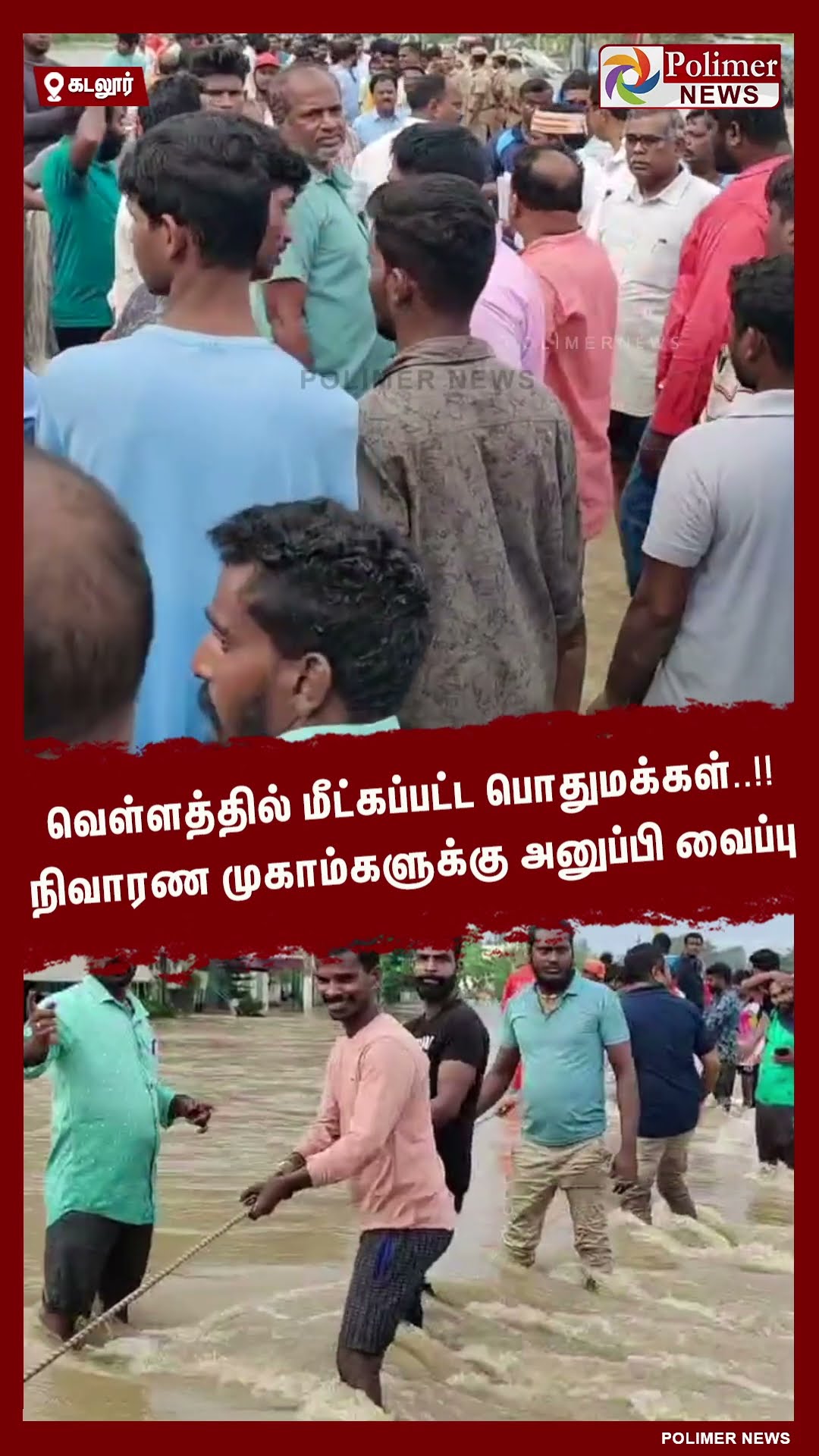 வெள்ளத்தில் மீட்கப்பட்ட பொதுமக்கள்..!!  நிவாரண முகாம்களுக்கு அனுப்பி வைப்பு #shorts