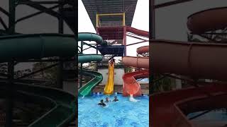 Renang activity 3A