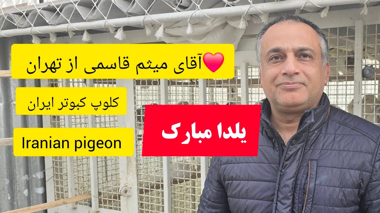 ❤️26 آذر 1403 گزارش و مصاحبه با آقای میثم قاسمی از تهران iranian high flyers pigeon
