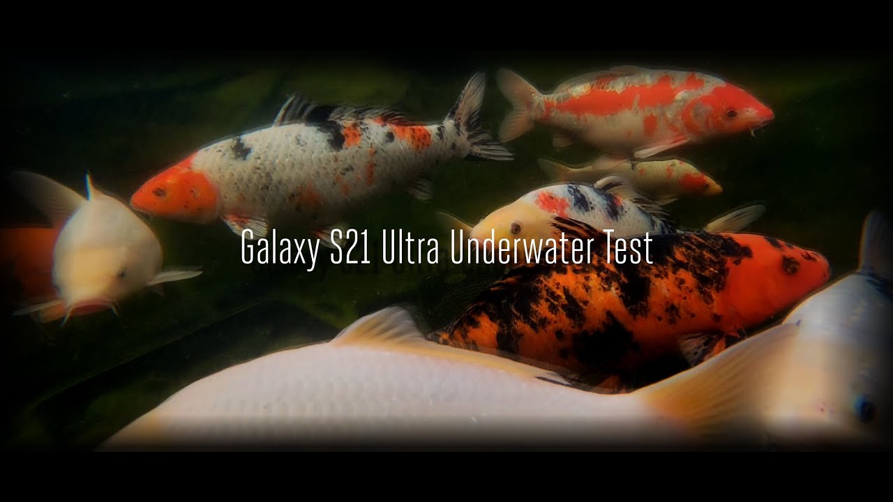 Galaxy S21 Ultra Underwater Test YouTube