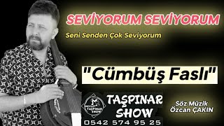 Seviyorum Seviyorum (Seni Senden Çok Seviyorum) 2023 - MEVLÜT TAŞPINAR #seviyorum #mp3 #yeni