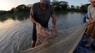 Pescamos un APUY, un pez EXOTICO en la región llanera