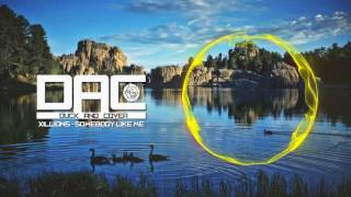 Download Lagu Xillions - Somebody Like Me (Duck And Cover) MP3