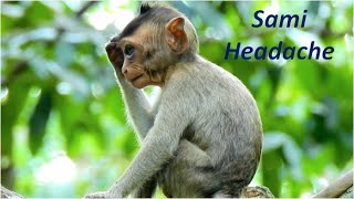 Poor life of baby Sami after mom torturing | Sami much headache & drowsiness  walk lonely on tree