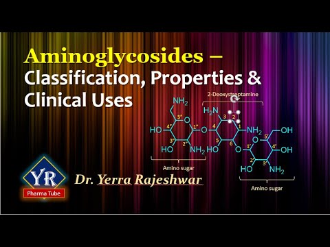 Antibiotics - Aminoglycosides: Classification, Structures, Properties ...
