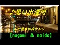 ♪思い出運河  山川豊&水森かおり 【nagomi &maido】