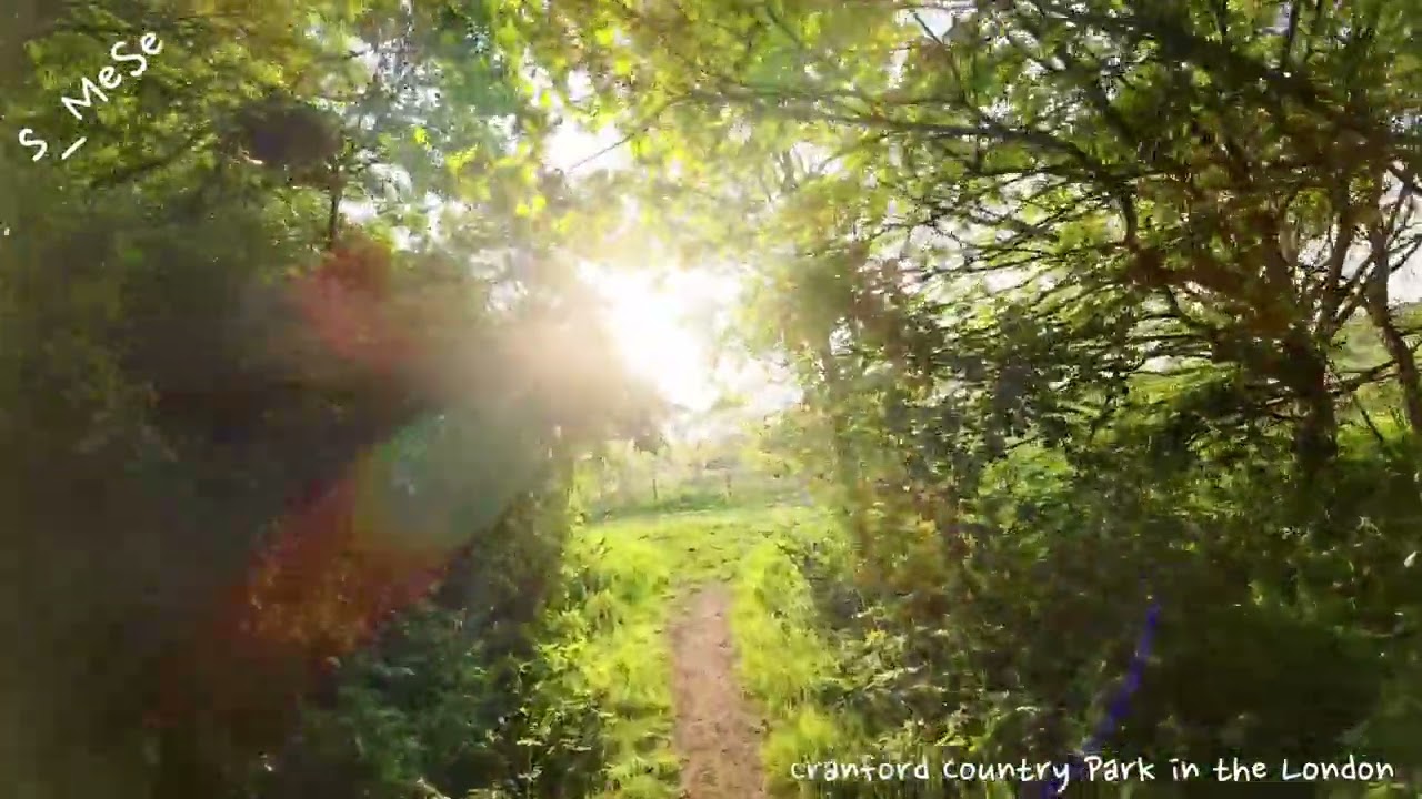 Cranford Country Park in the London (episode 5)