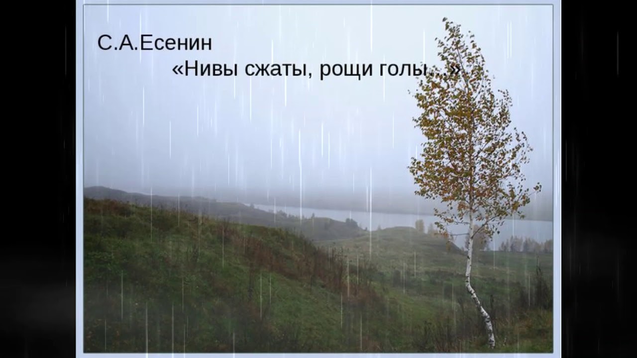 Голая на ниве