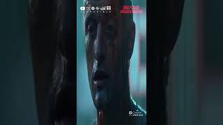 #bladerunner #harrisonford #rutgerhauer #rickdeckard #roybatty #tyrell #nexus6 #replicante #L.A.