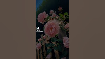 اللهم اجعل القرآن الكريم ربيع قلوبنا ونور صدورنا 🤲❤️