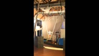 Cloud swing act