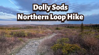 Dolly Sods- Northern Loop Hike: Bear Rocks, Rocky Ridge, Dobbin Trail