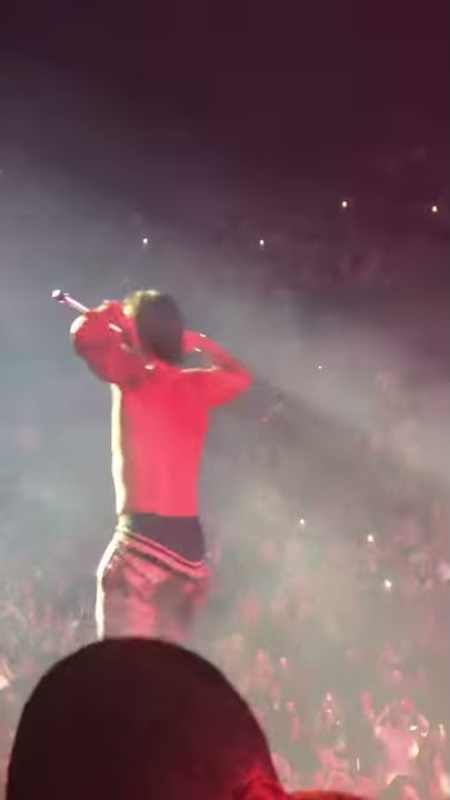 Maluma shirtless at his Miami show lmao