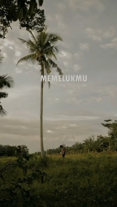 STORY WA SAD - indra frimawan 30 DETIK // STORY WA SADBOY.