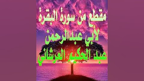 مقطع من سورة البقرة تلاوة أبي عبدالرحمن عبد الحكيم