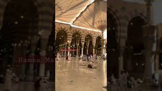 Madina live Masjid Nabawi Ziyarat Today From Masjid an Nabawi - Rawza sharif #Shorts