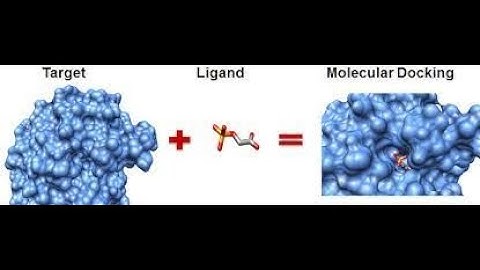Molecular Docking Software-Part1-STAY TUNED