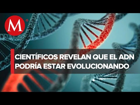 Video: Madres pulgas, hongos zombis y virus virus: parásitos como gánsteres