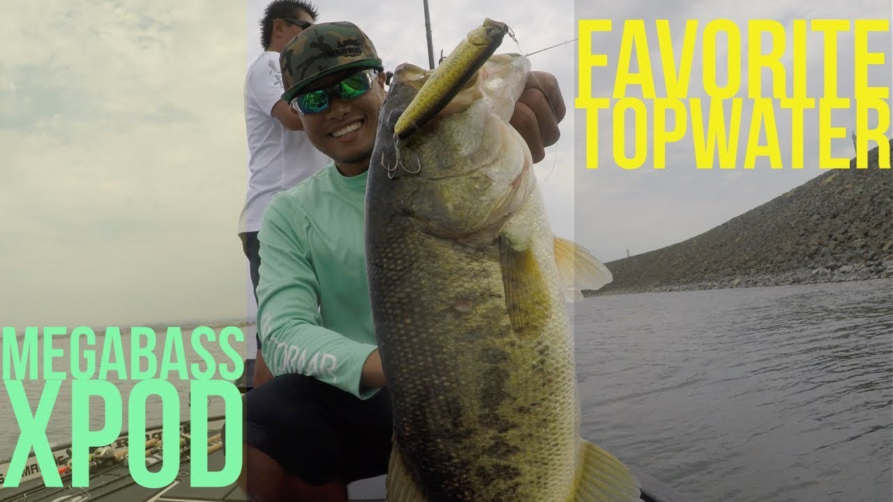 Megabass XPod Topwater Fishing for Largemouth Bass YouTube