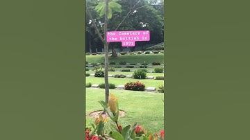 The cemetery of the british in 1971 #britsh #shortsfeeds #shorts #viralmusic #bangladesh @MrBeast2