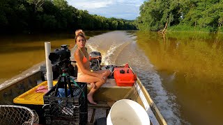 Limb Lines Pickle 2022