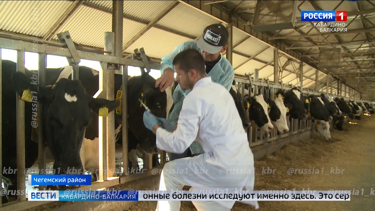 Московская область