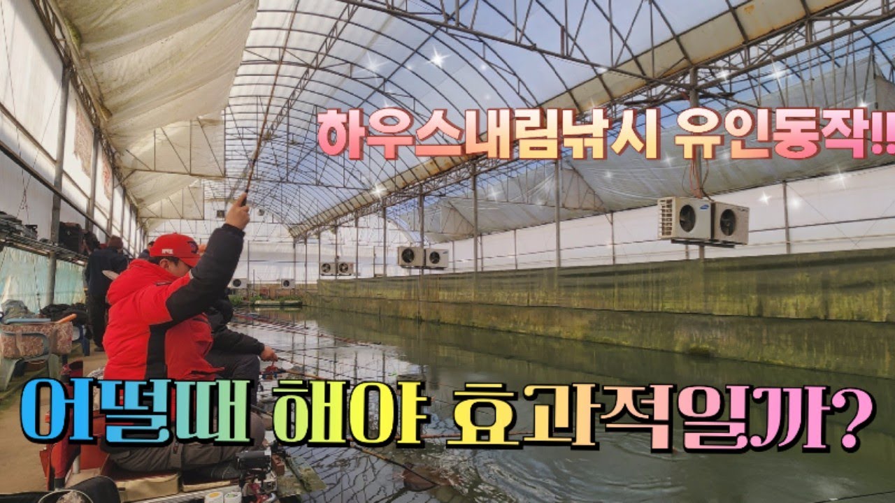 내림낚시 유인동작만(고패질) 잘~해도 내림낚시 고수된다~!!