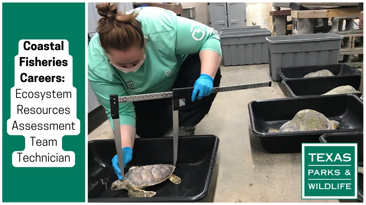Coastal Fisheries Careers | Ecosystem Resources Assessment Program Technician