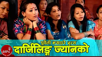 दार्जिलीङ ज्यानको नौमुले कोठी - पूर्वेली झ्याउरे नृत्य | JHYAURE NRITYA