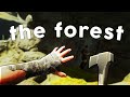 The Forest Experience