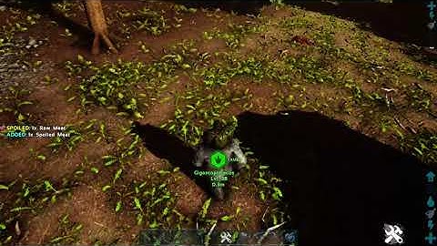 How to tame a Monkey in ARK!