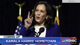 Msnbc Decision 2020 Animations