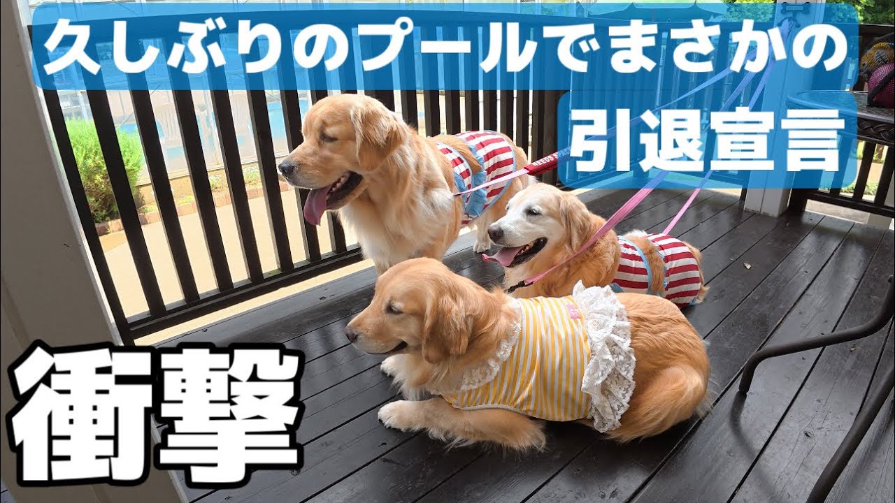 【衝撃】プールは引退か…